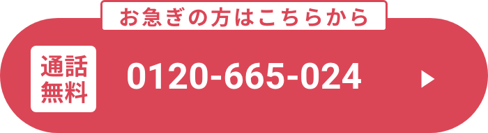 0120-665-024
