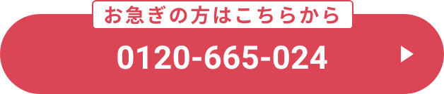 0120-665-024