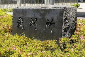 破産宣告とは？借金はどうなるのか、手続きや流れ、注意点を解説